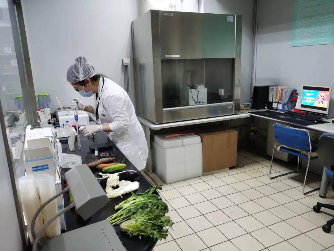 乐东食品检测实验室装修方案